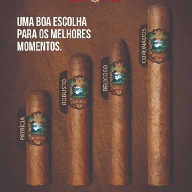 Charuto Diogenes Puentes Premium Robusto (Ring 52) - unidade